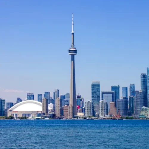 About Makis About Makis